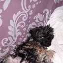 ���� �����, ��������, 55 ��� - ��������� 20 ������� 2017 � ������ ���� ����������