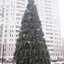 ���� ������, ������, 69 ��� - ��������� 22 ������� 2017 � ������ ���� ����������