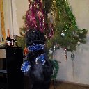 ���� ���������, �������� - ��������� 1 ������ 2018 � ������ ���� ����������