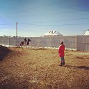 ���� ������, ������, 42 ���� - ��������� 10 ����� 2018 � ������ ������ ��������