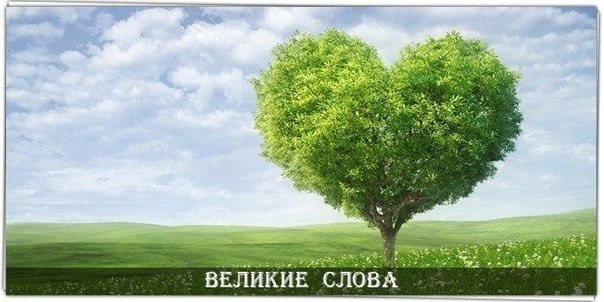 - Куда уходит любовь? – спросило маленькое счастье у своего отца. - Она умирает, – ответил отец. – ...