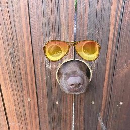 ������, �����������, 62 ����