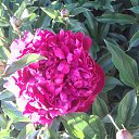 ���� ������, ������ - ��������� 18 ���� 2018 � ������ ���� ����������