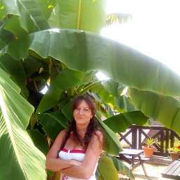 ˸��, ����������