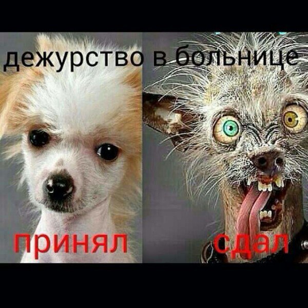 Мила - 28 февраля 2018 в 13:02