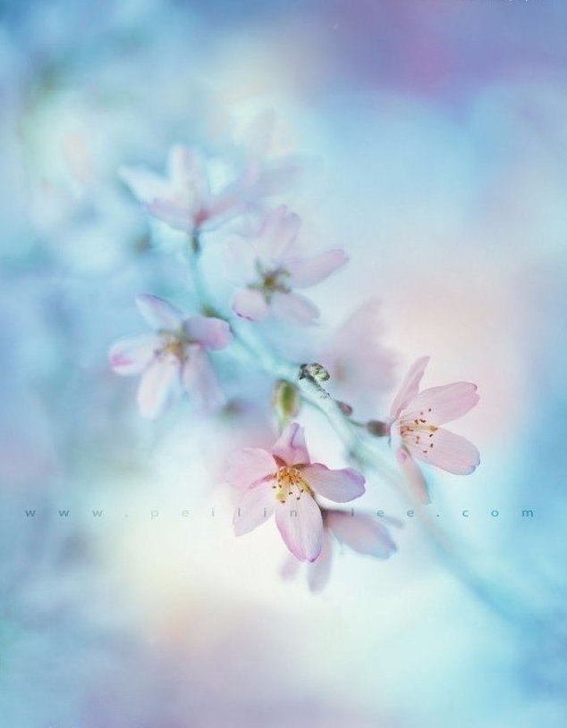 Не бойтесь перемен и чужого мнения. Будьте восхитительно неправильными для окружающих. И уверенно ... - 7