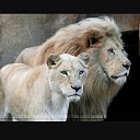���� R, ������� - ��������� 25 ������� 2018 � ������ ���� ����������