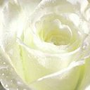 ���� 165656, �������, 37 ��� - ��������� 10 ���� 2018 � ������ ���� ����������