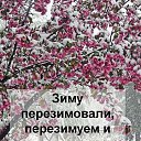 ���� ������, �����-���������, 69 ��� - ��������� 1 ����� 2018 � ������ ������ ��������