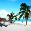 ���� �������, ������������ - ��������� 31 ����� 2018 � ������ ���� ����������