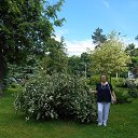 ���� ����� ����������, ������, 73 ���� - ��������� 9 ������ 2018 � ������ ���� ����������