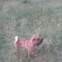 ���� *������*, ���������, 47 ��� - ��������� 8 ���� 2018 � ������ ���� ����������