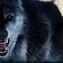 ���� �������, ������-��-����, 40 ��� - ��������� 30 ����� 2018 � ������ ���� ����������