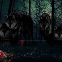 ������� �� ������� ��������