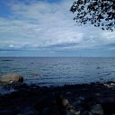 ���� ����, ��������� - ��������� 16 ���� 2018 � ������ ���� ����������