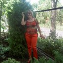 � ����� ������� �������
