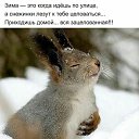 ���� ������, �����-���������, 53 ���� - ��������� 1 ������� 2017 � ������ ������ ��������