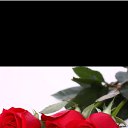 ���� �l, ����������, 37 ��� - ��������� 21 ������� 2018 � ������ ���� ����������