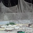 ���� ������, ����, 65 ��� - ��������� 18 ������ 2018 � ������ �2017�