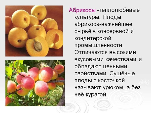  ...   !) - 3
