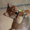 ���� �����, �����-���������, 56 ��� - ��������� 5 ������ 2018 � ������ ������ ��������