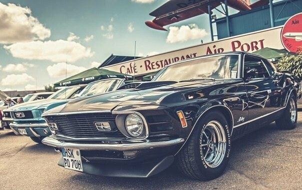 Mustangs