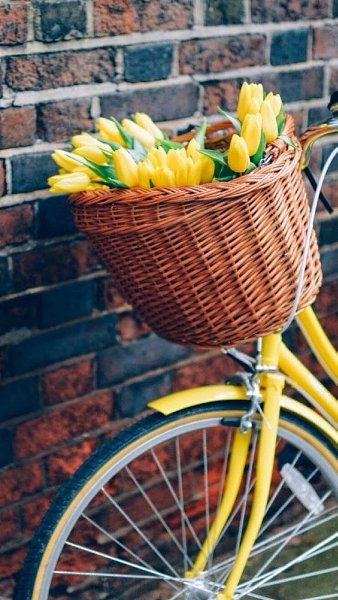 #��������@elehandmade. � ������ ������� ���? ������ ��� � ���� ���������� �� ����. � ������ � ����� ...