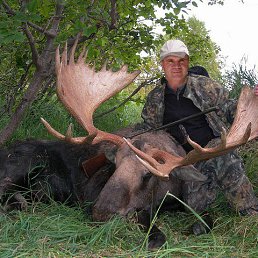 ���� ����, ����-���, 59 ���