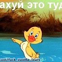 ���� ���������, ������, 54 ���� - ��������� 29 ������ 2018 � ������ ���� ����������