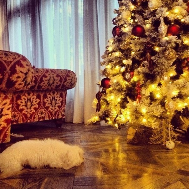 ������� | ���� 2016 | ������ | �������� | ������ - 1 ������ 2018 � 03:32 - 3