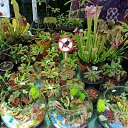 ���� Raisa, ������ - ��������� 3 ���� 2018 � ������ ������ ��������