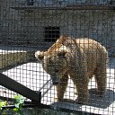 ���� ������, ������ - ��������� 26 ��� 2018 � ������ ���������� �������