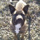 ���� ����, ���������, 44 ���� - ��������� 24 ������ 2018 � ������ ���� ����������