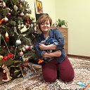 ���� ����, ��������� - ��������� 15 ������ 2018 � ������ ���� ����������