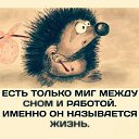 ���� �������, ��������� - ��������� 15 ����� 2018 � ������ ������ ��������