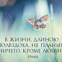 ���� �����, ������ �������� - ��������� 8 ������� 2017 � ������ ������ ��������