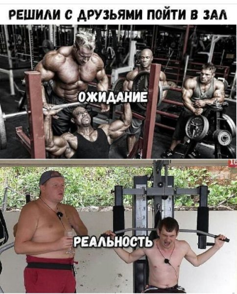 SportFeed - 13  2017  03:41