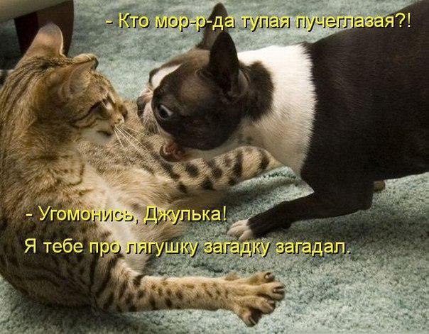  - 7  2017  08:45