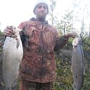 ���� �������, ��������, 54 ���� - ��������� 27 ������ 2017 � ������ ���� ����������