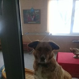 ���� ��������, ������, 59 ��� - ��������� 5 ������ 2018