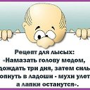 ���� ���, ������ - ��������� 9 ���� 2018 � ������ ������ ��������