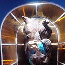 ���� �����, �������, 50 ��� - ��������� 9 ��� 2018 � ������ ���� ����������