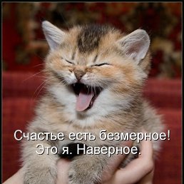 ���� ���������, �������� - ��������� 13 ������ 2018