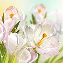 ���� �����, ������, 53 ���� - ��������� 30 ������ 2018 � ������ ������ ��������