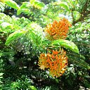 ���� �������, ������� - ��������� 22 ������ 2018 � ������ ������ ��������