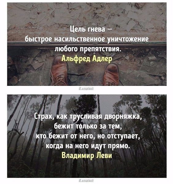 Весь опыт психологов мира в 20 цитатах. Прочтите и вдумайтесь в эти слова. - 9