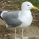 ���� No Name, ����, 53 ���� - ��������� 21 ����� 2018 � ������ ���� ����������