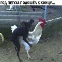 ���� �����, ����������, 37 ��� - ��������� 3 ������ 2018