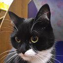 ���� �����, ���-��-�������, 59 ��� - ��������� 18 ����� 2018