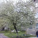 �������� � ���� ����� �� ������� ���� ����������